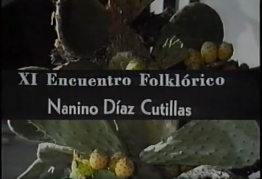 Resumen XI Encuentro folklórico "Nanino Díaz Cutillas"