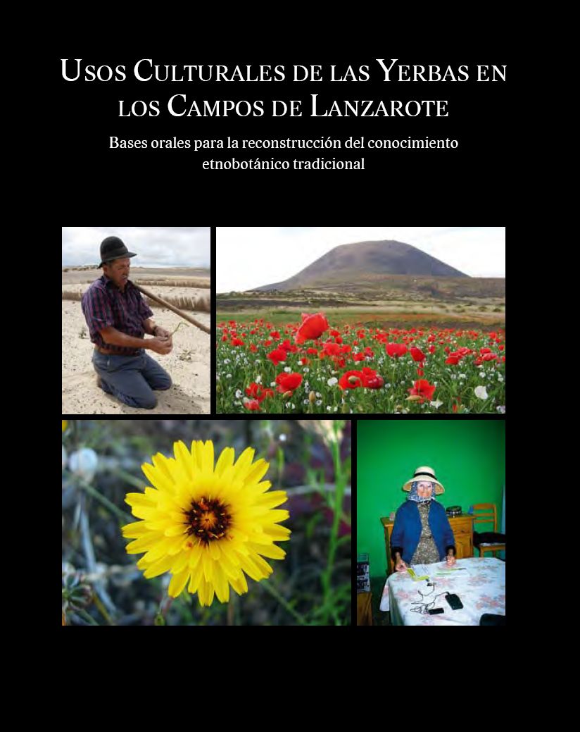 Usos culturales de las yerbas en los campos de Lanzarote