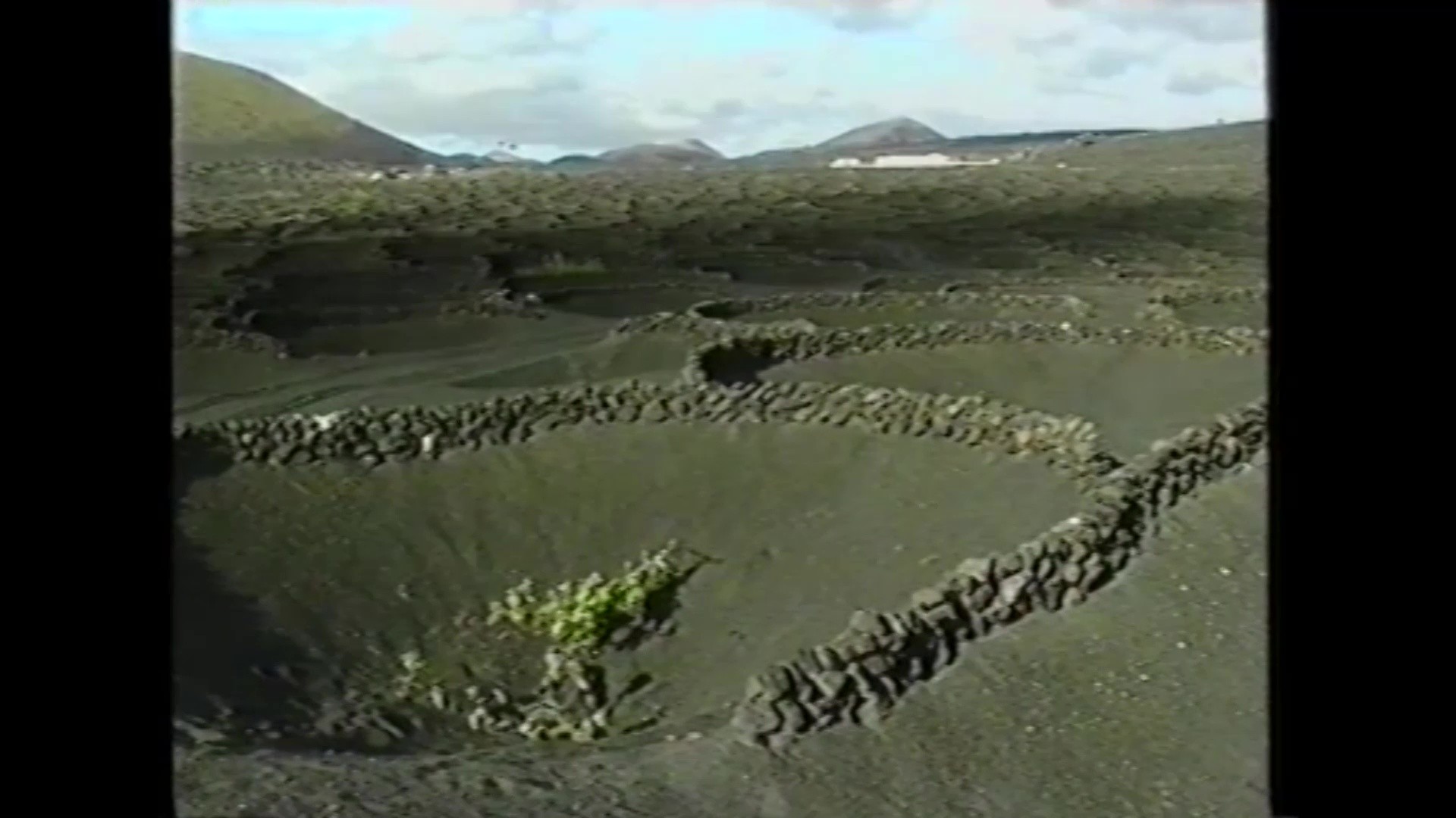 Vino Bodegas El Grifo en 'Lanzarote. Isla de los Volcanes' (1990)