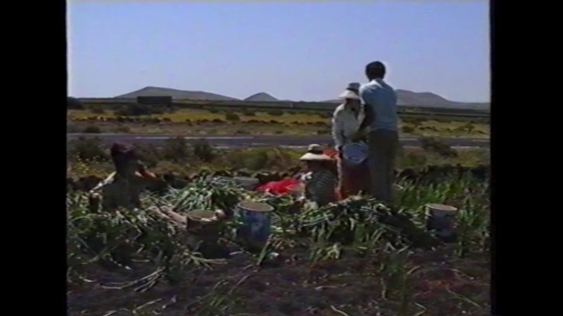 Agricultura en 'Lanzarote. Isla de los Volcanes' (1990)
